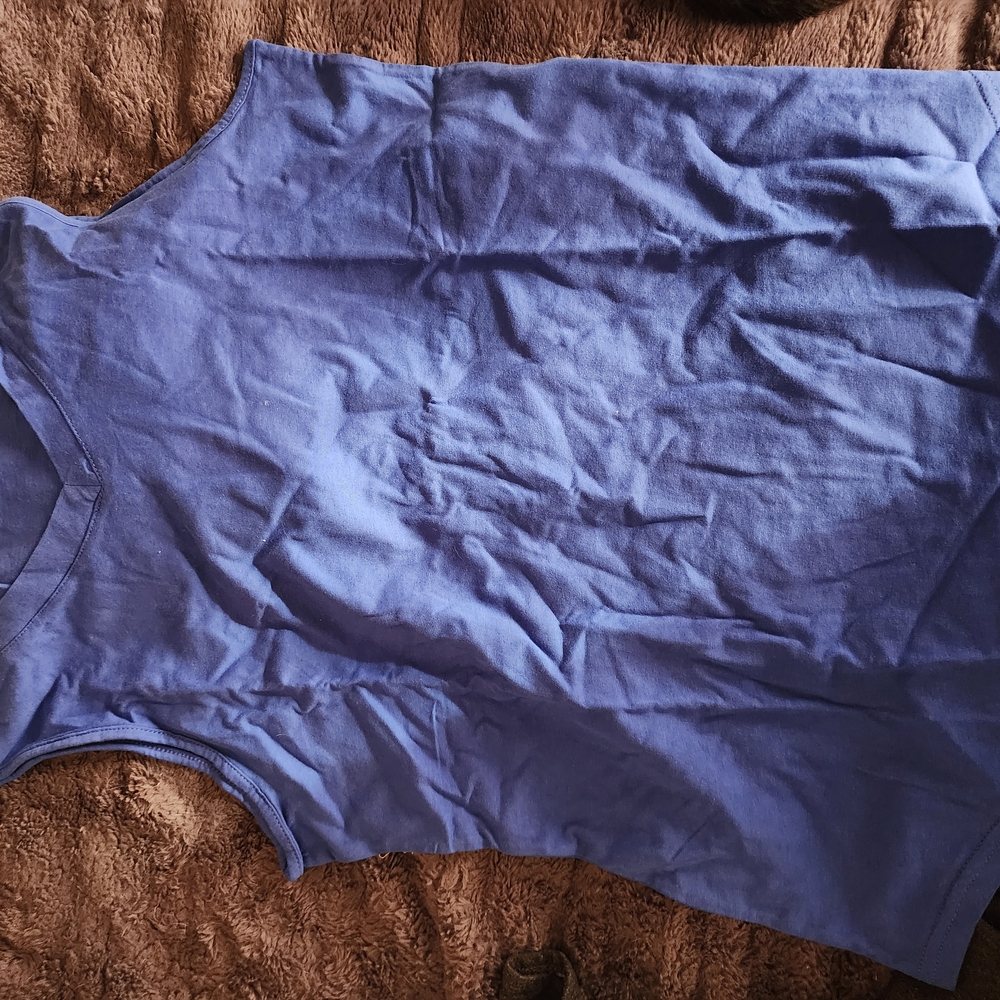 Blue Sleeveless Top